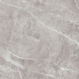 3_PALLAZO GRIS 3